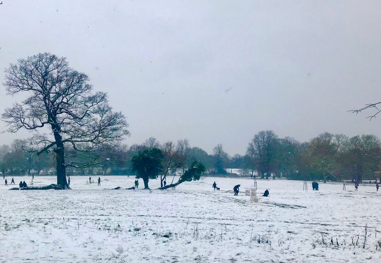 Snow Day